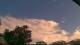 Carrum Mi. 20.5.