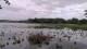 Les Landes-Genusson Mi. 20.5.
