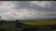 Gollendorf (Fehmarn) Mi. 20.5.