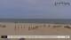De Cocksdorp (Texel) Mi. 20.5.