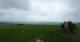 Schallodenbach Mi. 20.5.