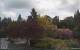 Son en Breugel Do. 21.5.