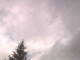 Hagenow Do. 21.5.