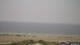 Borkum Do. 21.5.