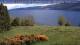 Loch Ness Do. 21.5.