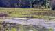 Les Landes-Genusson Do. 21.5.