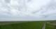 Westerhever Do. 21.5.