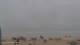Essaouira Do. 21.5.