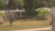 Cold Spring Harbor, New York Fr. 22.5.