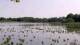 Les Landes-Genusson Fr. 22.5.