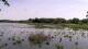 Les Landes-Genusson Fr. 22.5.