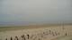 Norderney Fr. 22.5.