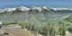 Ahrntal Fr. 22.5.