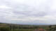Alonia Fr. 22.5.