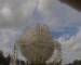 Jodrell Bank Observatory Sa. 23.5.
