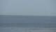 Scheveningen Sa. 23.5.