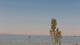 Lindau (Bodensee) Sa. 23.5.