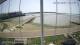 Brightlingsea Sa. 23.5.