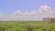Saint Petersburg, Florida So. 24.5.