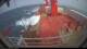 Irena Arctica So. 24.5.
