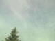 Hagenow So. 24.5.