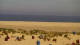 Borkum So. 24.5.