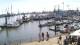 Delfzijl So. 24.5.