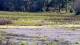 Les Landes-Genusson So. 24.5.