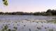 Les Landes-Genusson So. 24.5.