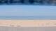 Henne Strand So. 24.5.