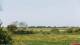 Nordstrand So. 24.5.