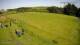 Princetown So. 24.5.