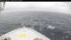 Norwegian Bliss So. 24.5.