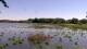 Les Landes-Genusson So. 24.5.