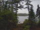 Hoel Pond, New York Mo. 25.5.