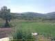 Cantalupo Ligure Mo. 25.5.