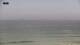 Carcavelos Mo. 25.5.