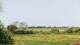 Nordstrand Mo. 25.5.