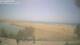 Maspalomas (Gran Canaria) Mo. 25.5.
