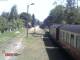 Wernigerode Di. 26.5.