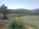 Cantalupo Ligure Di. 26.5.