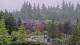 Bellevue, Washington Di. 26.5.