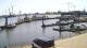 Delfzijl Di. 26.5.