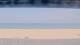 Henne Strand Di. 26.5.