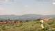 Pietrapiana Di. 26.5.