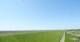Westerhever Di. 26.5.
