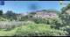 Palestrina Mi. 27.5.