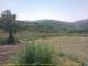 Cantalupo Ligure Mi. 27.5.