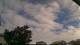 Carrum Mi. 27.5.