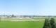 Altenrhein Mi. 27.5.